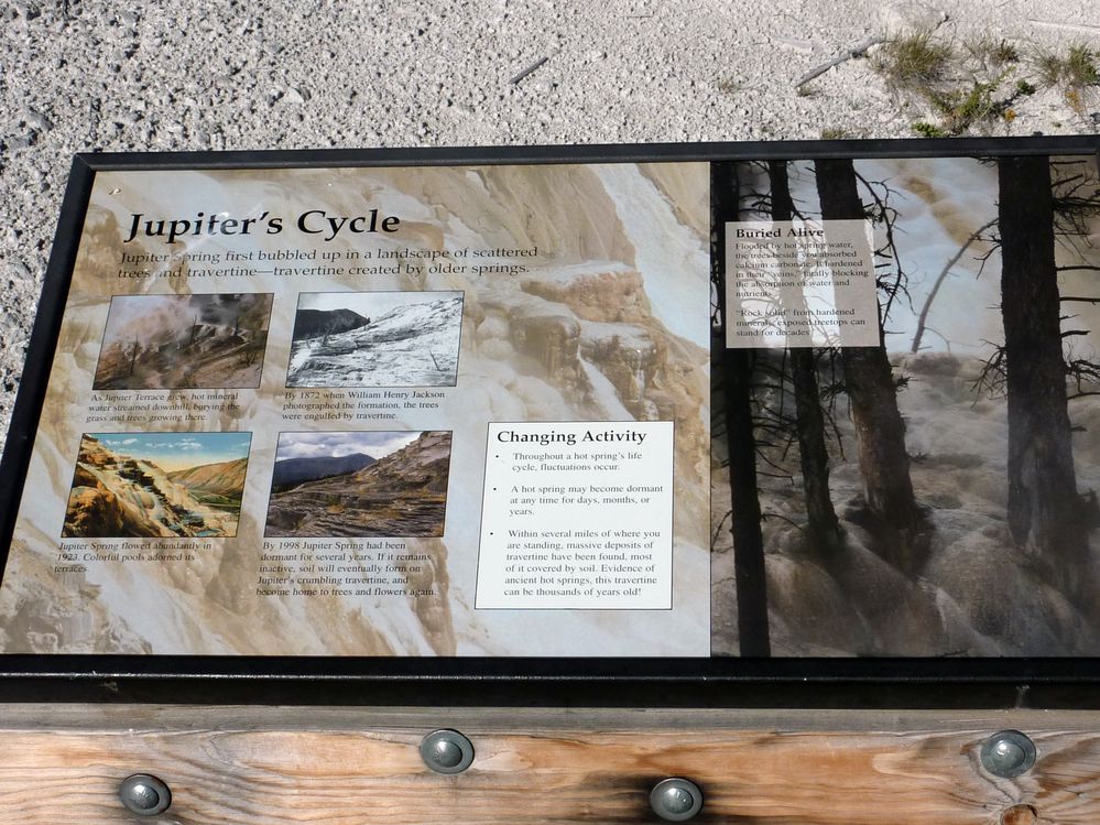 Yellowstone Mammoth Hotsprings (43).JPG